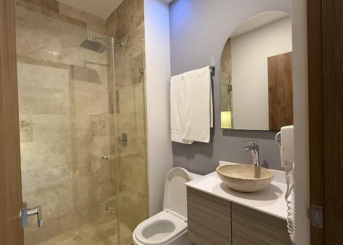 Apartment 1br Con Entrada Gratuita Club De Playa Habitas